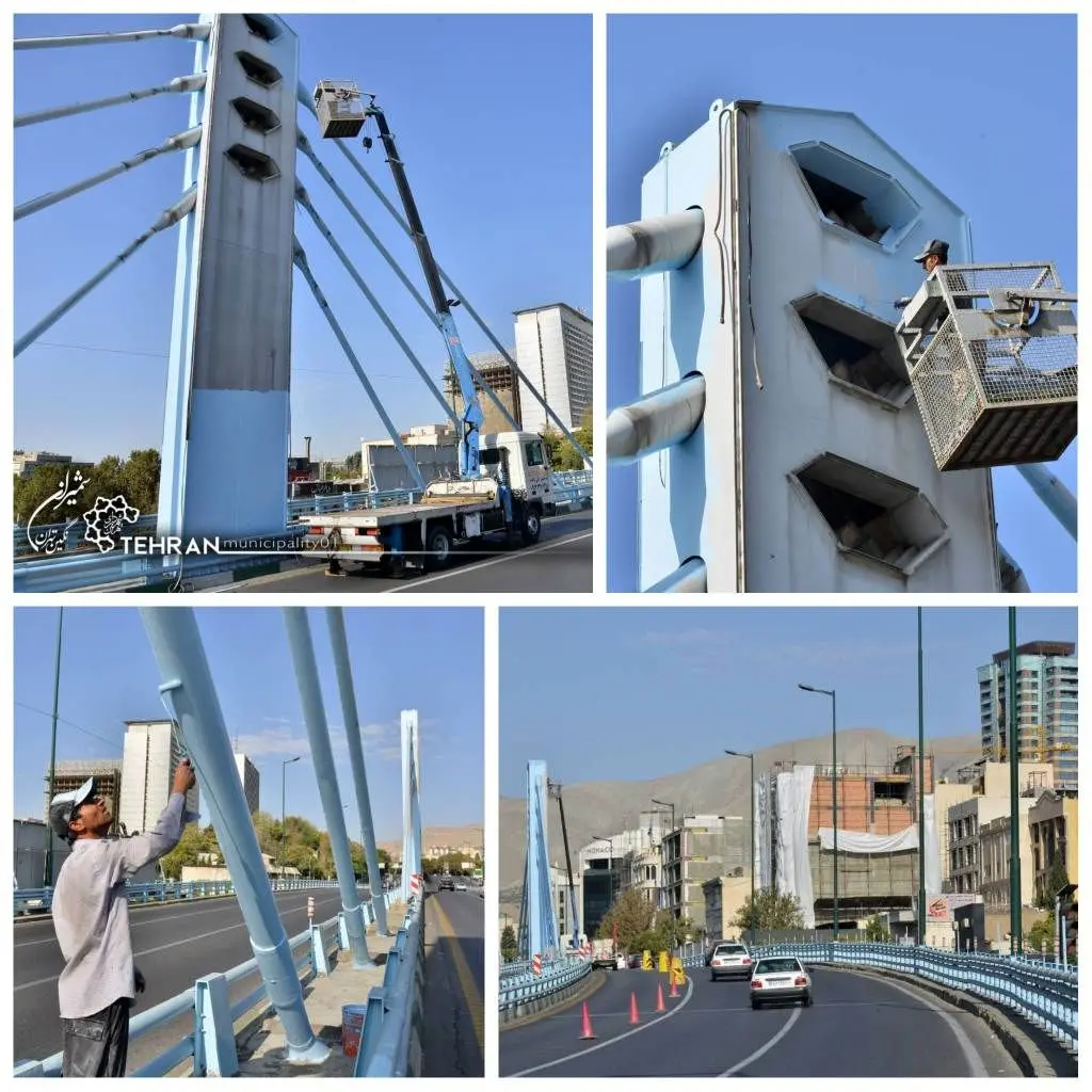  زیباسازی پل پارک وی، به عنوان یکی از المان های شاخص در شمال تهران آغاز شد