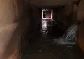 جمع آوری ۶۳ هزار کیلوگرم پسماند غیر مجاز در منطقه۱۳ 

