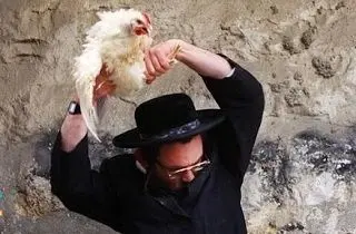 مرغی که از خجالت یک صهیونیست درآمد +عکس