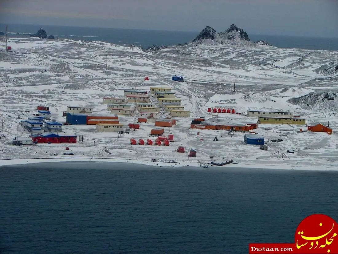 برای زندگی در این شهر باید آپاندیس خود را درآورید! +تصویر