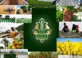 بانک توسعه تعاون 20 هزار میلیارد ریال تسهیلات تفاهم نامه ای پرداخت کرد