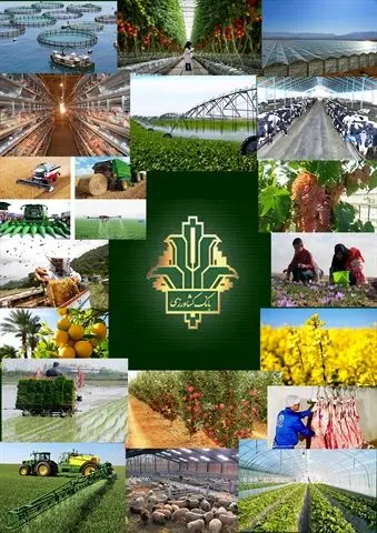 پرداخت بیش از 1685 هزار میلیارد ریال تسهیلات توسط بانک کشاورزی در سه سال اخیر
