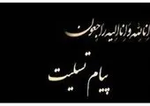  سود همه سهامداران شستا تضمین و به آنها پرداخت می شود
