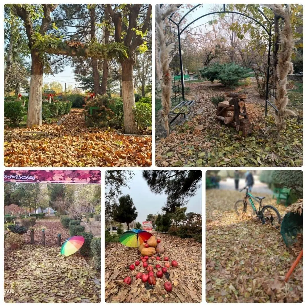 قدم‌هایی روی فرش زرد برگ‌ها در گذرهای پاییزی منطقه