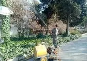 احداث ۴۰ چشمه سرویس‌ بهداشتی در بوستان‌های منطقه ۲۱ در سال ۱۴۰۳
