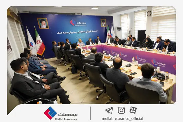 فرهادیپور: بیمه ملت با همافزایی و ارتقای کارآمدی، مسیر رشد را دنبال میکند
