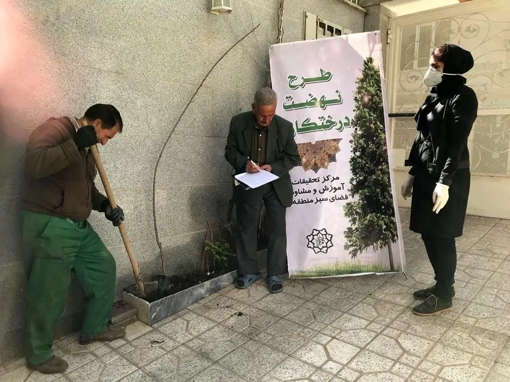 کاشت نهال در حیاط منازل  شهروندان  منطقه 15


