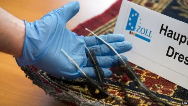 کشف هروئین از قالیچه ایرانی در آلمان +تصاویر