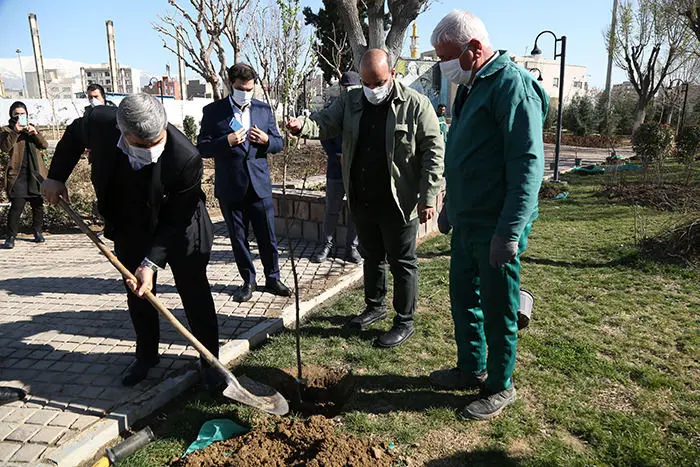 منطقه 12 به نام شهدای سلامت و علم و دانش سبز شد