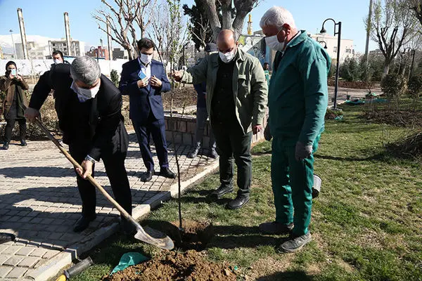 منطقه 12 به نام شهدای سلامت و علم و دانش سبز شد