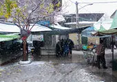 تشدید برف و باران در ۱۲ استان