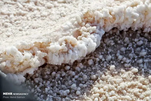 ساحل ستاره‌ های ایران! + عکس