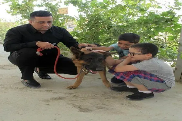 کنترل بیماری کودکان اوتیسم توسط سگهای دستیار