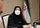 فرزندان شاهد، سرمایه های دلسوز مجموعه شهرداری 