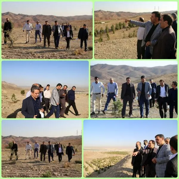 استفاده از پتانسیل های حریم در بهسازی ورودی جنوبشرق پایتخت 