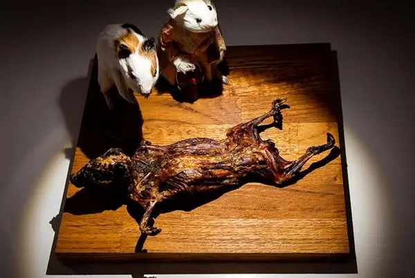 
افتتاح تنفرانگیزترین ترین نمایشگاه دنیا+تصاویر
