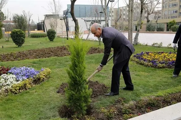 کاشت نهال توسط مدیرعامل بانک کشاورزی در هفته منابع طبیعی
