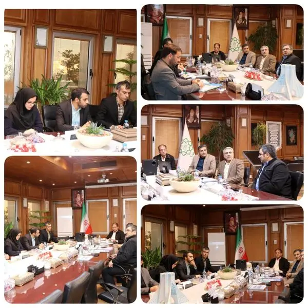 ششمین جلسه "کارگروه مشورتی برنامه، بودجه و منابع انسانی" در  منطقه۹ برگزار شد

