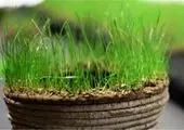  جریمه فوق سنگین برای شکار + عکس 