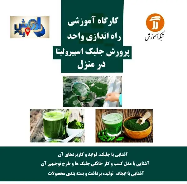 برگزاری کارگاه های کسب و کار خانگی در منطقه9