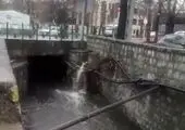 دورهمی مسئولین آراستگی شهر در بوستان ملت