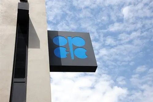 نشست اوپک پیروزی دیپلماتیک نفتی برای ایران بود