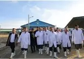 بیعت بختیاری‌ها با امام راحل، تسریع‌بخش سقوط رژیم پهلوی بود

