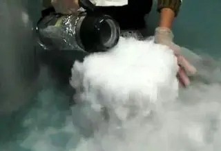 خطر بزرگی که از بیخ گوش بازدیدکنندگان یک موزه گذشت! +عکس