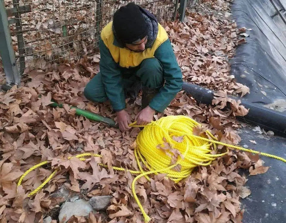 ایمن سازی مخازن آب در بوستان جنگلی سرخه حصار