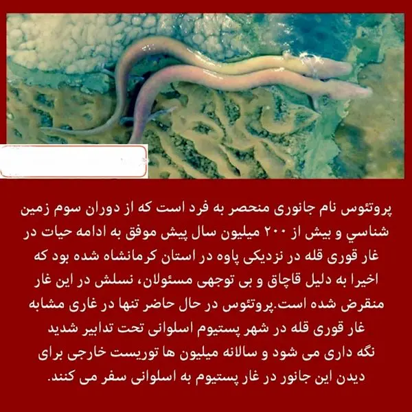 انقراض تنها جانور باقیمانده از دوران ماقبل تاریخ در ایران+عکس