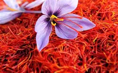 عرضه ۸۰۰ کیلوگرم طلای سرخ در بورس کالا
