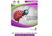 کارگاه آموزشی سبک زندگی حرفه ای