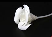 
نخستین جنگنده ملی چه مشخصاتی دارد؟ +عکس
