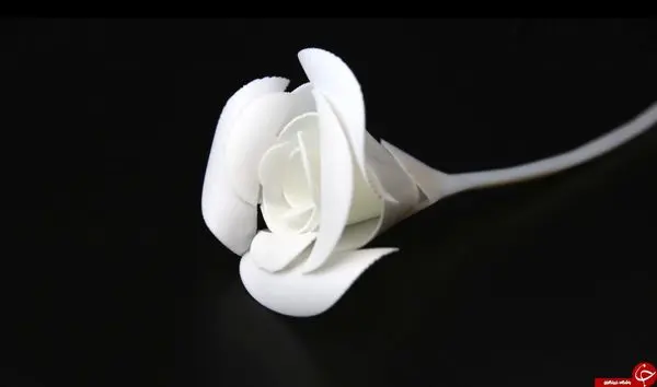 رونمایی از اولین چاپ چهار بعدی جهان + عکس