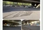 3 گاراژ تفکیک غیرمجاز با جمع آوری نزدیک به ۶ تن پسماند در خلازیر منطقه 19 پلمب شد


