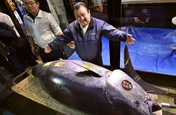 رکورد خرید گرانترین ماهی شکسته شد! +تصاویر