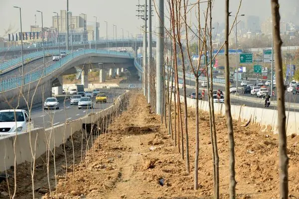 افزایش 4500 متر مربعی فضای سبز در بزرگراه ارتش