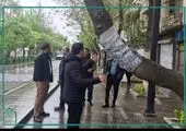 عملیات پایدارسازی دیواره ۱۸ متری گلابدره در مراحل پایانی است

