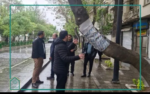 شناسایی و رفع خطر درختان خمیده با نصب حفاظ و ضربه گیر در منطقه ۱۲