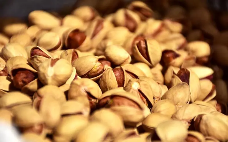 پیش بینی تولید ۱۸۰ هزار تن پسته در کشور 