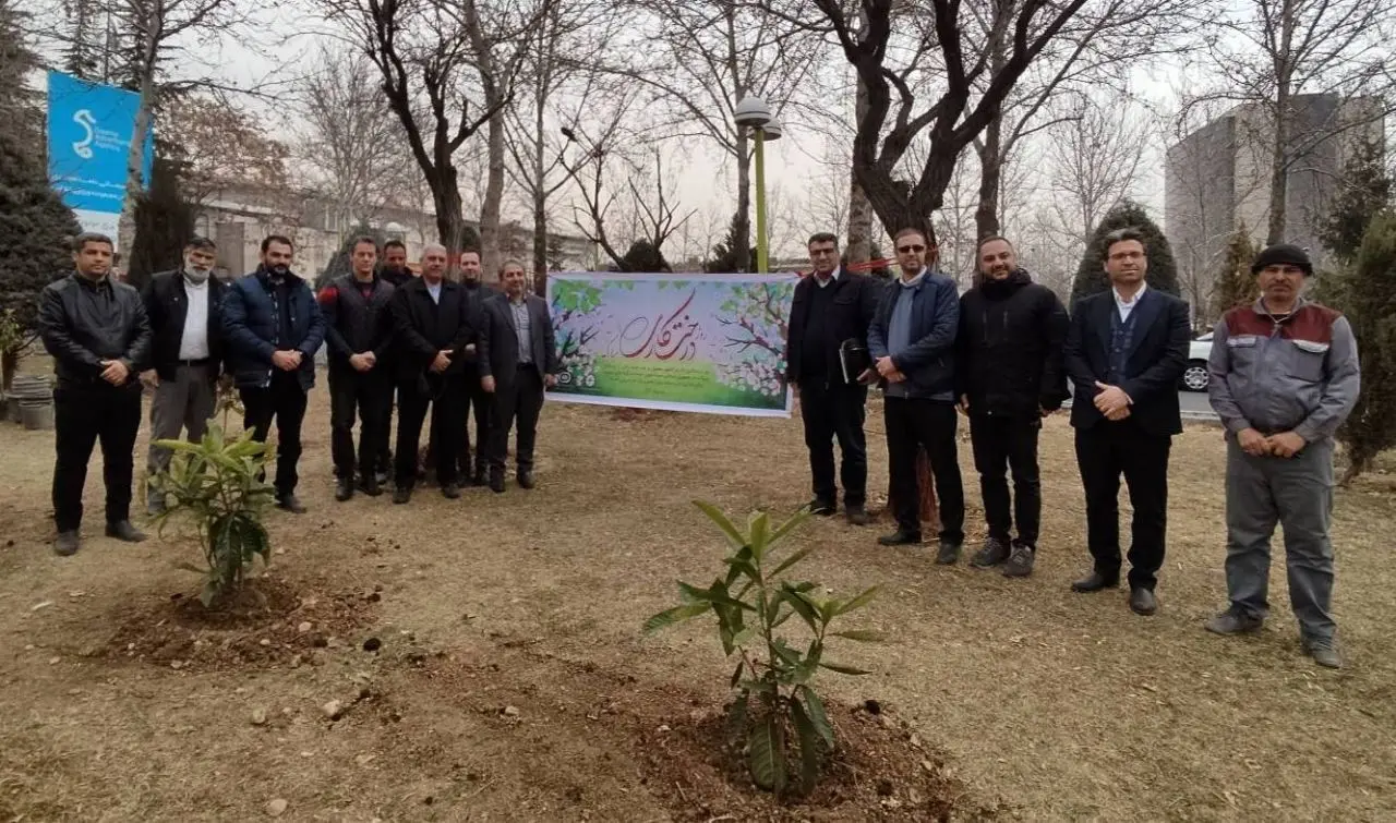 200 اصله نهال با حضور مدیرعامل شرکت توسعه کاشته شد