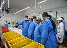 عضو هیأت مدیره و قائم مقام مدیرعامل این بانک: نگاه ما به طرح های تولیدی باید نگاهی توسعه ای و مبتنی بر اهداف بلند مدت باشد
