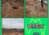 منطقه۲۱ و آغاز فصل هرس و بازپیرایی فضای سبز

