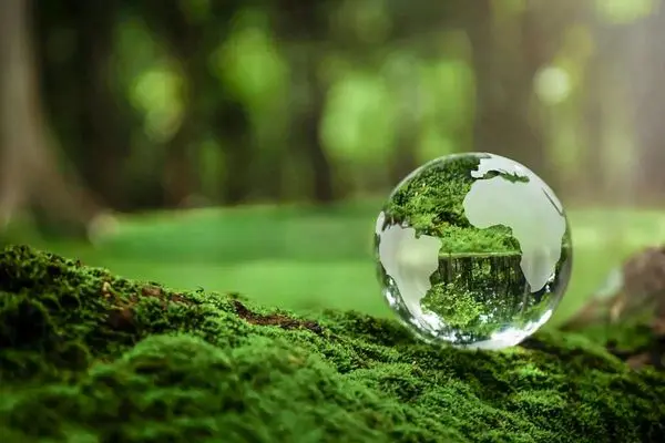 گام بلندگروه سرمایهگذاری غدیر در صیانت از محیط زیست