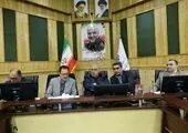 کالا‌های اساسی به وفور در کشور وجود دارد
