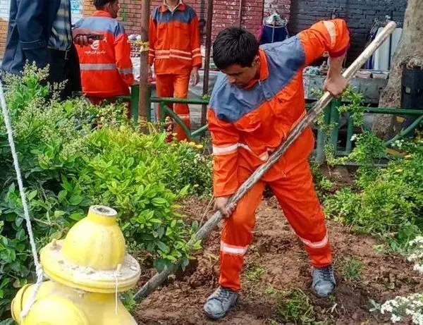 اجرای همزمان کاشت نهال، کوددهی و رفع عیوب سیستم آبیاری در معابر اصلی و فرعی