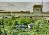 اجرای پویش زیباترین سبزه زیست محیطی در دارالمومنین طهران 