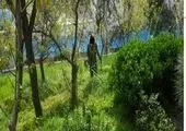  حریق فضای سبز ۲۵درصد آتش‌سوزی‌های شهر را شامل می شود

