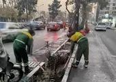 برگزاری دوشنبه های پاسخگویی به شهروندان با حضور عضو شورای اسلامی شهر تهران در منطقه ۱۹