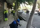 ۴۰۰ هزار مترمربع از بوستان‌های شمال تهران در طرح خدمت باز پیرایی شد